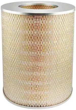 BALDWIN FILTERS PA618 Air Filter,10-7/32 x 12 in.