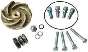 DAYTON 21TG50 Pump Repair Kit,For 2ZWR5A,2ZWR6A