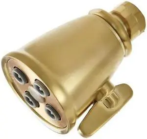 SHOWERSCAPE K137A7 Shower Head, Brushed Brass, Wall Mount