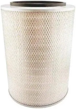 BALDWIN FILTERS PA3453 Air Filter,12-1/32 x 16-1/2 in.
