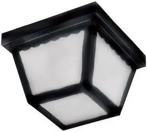 MAXIM 6204FTBK Outdoor Essentials 2-Light 9.5" Wide Black Outdoor Flush Mount