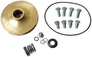 DAYTON 21TH34 Pump Repair Kit,For 2ZXL9,2ZXN1