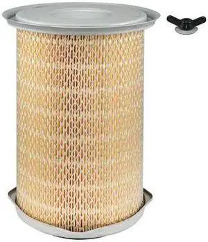 BALDWIN FILTERS PA2970 Air Filter,6-15/16 x 11-9/16 in.