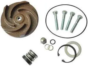 DAYTON 21TG79 Pump Repair Kit,For 2ZWX7A