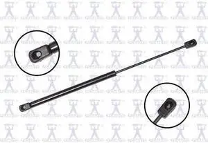 FCS STRUTS 84193 Lift Support Back Glass, 84193