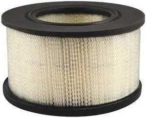 BALDWIN FILTERS PA3970 Air Filter,6-1/2 x 3-21/32 in.