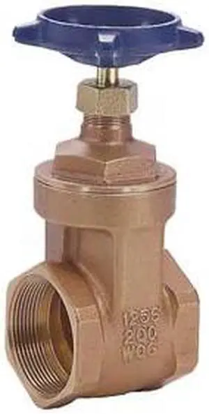 LEGEND VALVE 104-509 2-1/2" T-415 GATE VALVE