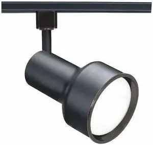NUVO TH207 1-Light, R30, Track Head, Step Cylinder, Black Finish