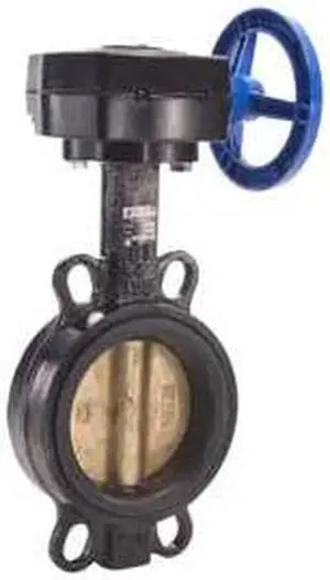 LEGEND VALVE 116-468 10" T-337AB-G BUTTERFLY -BUNA