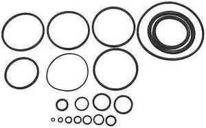 SPEEDAIRE PN31CCP09G O-ring Kit