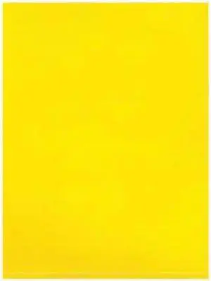 PARTNERS BRAND PB480Y Flat Poly Bags, 9" x 12", 2 mil, Yellow, 1000 PK