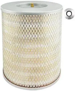 BALDWIN FILTERS PA2412 Air Filter,9-5/16 x 10-7/16 in.