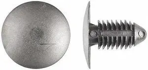ZORO SELECT 5710PK Push-In Rivet, Dome Head, 0.375 in Dia., 27/32 in L, Nylon