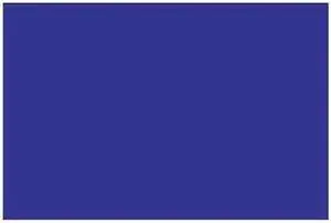 TAPE LOGIC DL630B Tape Logic® Inventory Rectangle Labels, 2" x 3", Dark Blue,