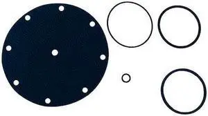 WATTS 100RK-6 Valve Rebuild Kit, For Use with 6CJP6