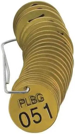 BRADY 23262 Numbered Tag Set,51 to 75,25 Tags