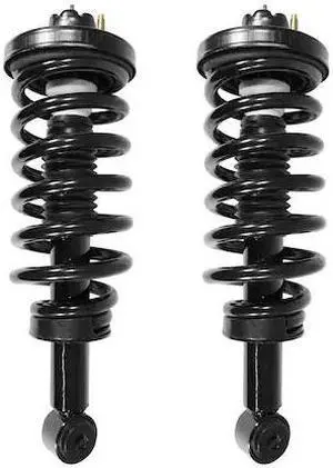 UNITY 2-15080-001 2-15080-001 Rear Complete Strut Assembly Kit