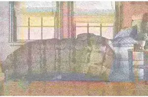 BLUE RIDGE 033087 Microfiber White Goose Down Comforter, Ivory, Twin