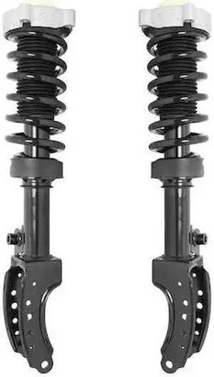 UNITY 2-11104-11105-001 2-11104-11105-001 Front Complete Strut Assembly Kit
