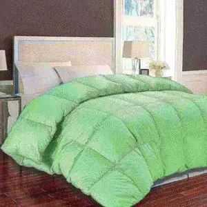 BLUE RIDGE 021027 1000 TC Solid White Down Fiber Comforter, Sage, Full/Queen