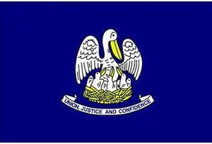 ANNIN FLAGMAKERS 142160 Louisiana State Flag,3x5 Ft