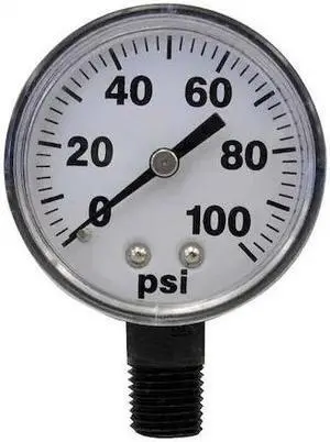 FIMCO 5167007 Pressure Gauge,0 to 100 psi,2In,1/4In