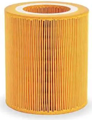 INGERSOLL RAND 89295976 Inlet Air Filter