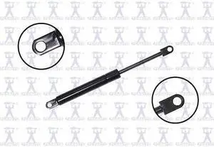 FCS STRUTS 84034 Lift Support Hood, 84034
