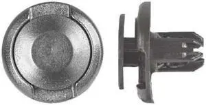 ZORO SELECT 2128PK Push-In Rivet, Dome Head, 8 mm Dia., 11 mm L, Nylon Body, 25