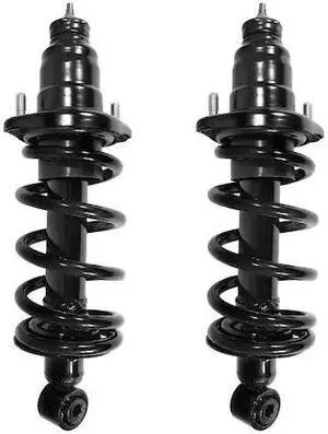 UNITY 2-15343-15344-001 2-15343-15344-001 Rear Complete Strut Assembly Kit UNITY 2-15343-15344-001 2-15343-15344-001 Rear Complete Strut Assembly Kit