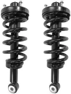 UNITY 2-16030-001 2-16030-001 Rear Complete Strut Assembly Kit