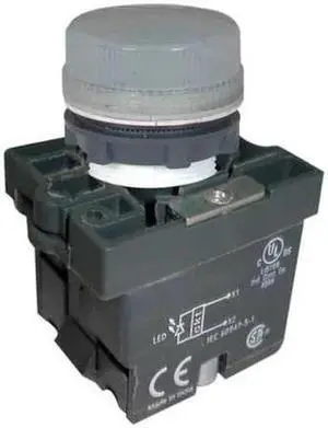 DAYTON 30G216 Pilot Light,22mm,LED,White