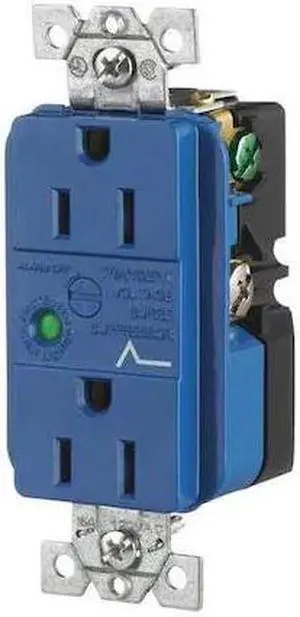 BRYANT SP52A 15A Duplex Decorator Receptacle 125VAC 5-15R BL