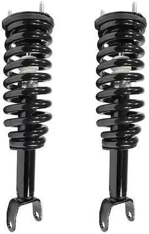 UNITY 2-11096-001 2-11096-001 Front Complete Strut Assembly Kit