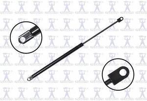 FCS STRUTS 84507 Lift Support Hood, 84507