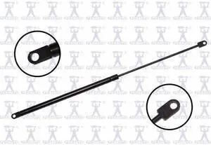 FCS STRUTS 84760 Lift Support Hood, 84760