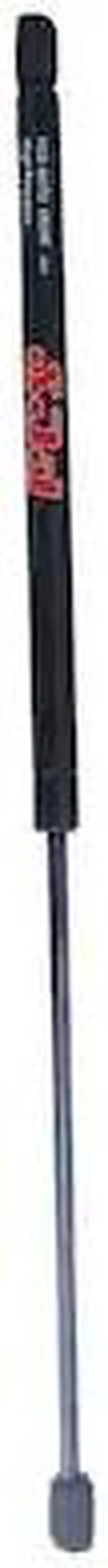 FCS STRUTS 86309 Lift Support Hood, 86309