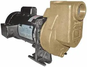 DAYTON 5WXU6 Centrifugal Pump, 1/3 hp, 115/208 to 230V AC, 1 Phase, 45 ft Max