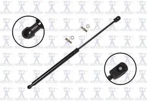 FCS STRUTS 86317 Lift Support Hood, 86317