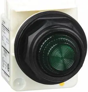 Pilot Light Complete, 30mm, 120VAC Voltage, Lamp Type: Incandescent