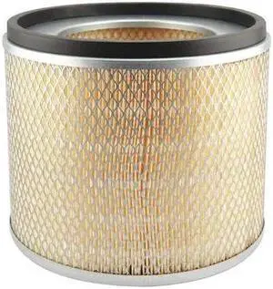 BALDWIN FILTERS PA1620S Air Filter,10-7/32 x 7-27/32 in.