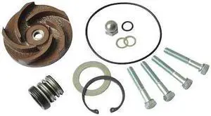 DAYTON 21TG75 Pump Repair Kit,For 2ZWX3A