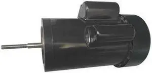 DAYTON PPTLS2201G Motor