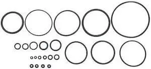 SPEEDAIRE PN31CCP21G O-ring Kit