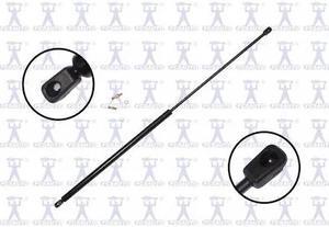 FCS STRUTS 84982 Lift Support Hatch, 84982