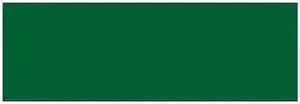 TAPE LOGIC DL637D Tape Logic® Inventory Rectangle Labels, 3" x 9", Green,
