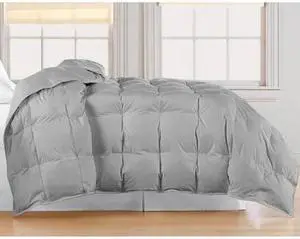 BLUE RIDGE 033082 Microfiber White Goose Down Comforter, Silver, Full/Queen