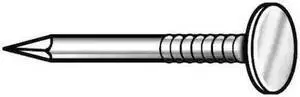 ZORO SELECT 135506212 Roofing Nail,Flat,2 1/2 In. L,PK610