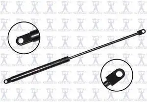 FCS STRUTS 84338 Lift Support Hood, 84338