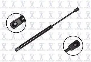 FCS STRUTS 84139 Lift Support Back Glass, 84139
